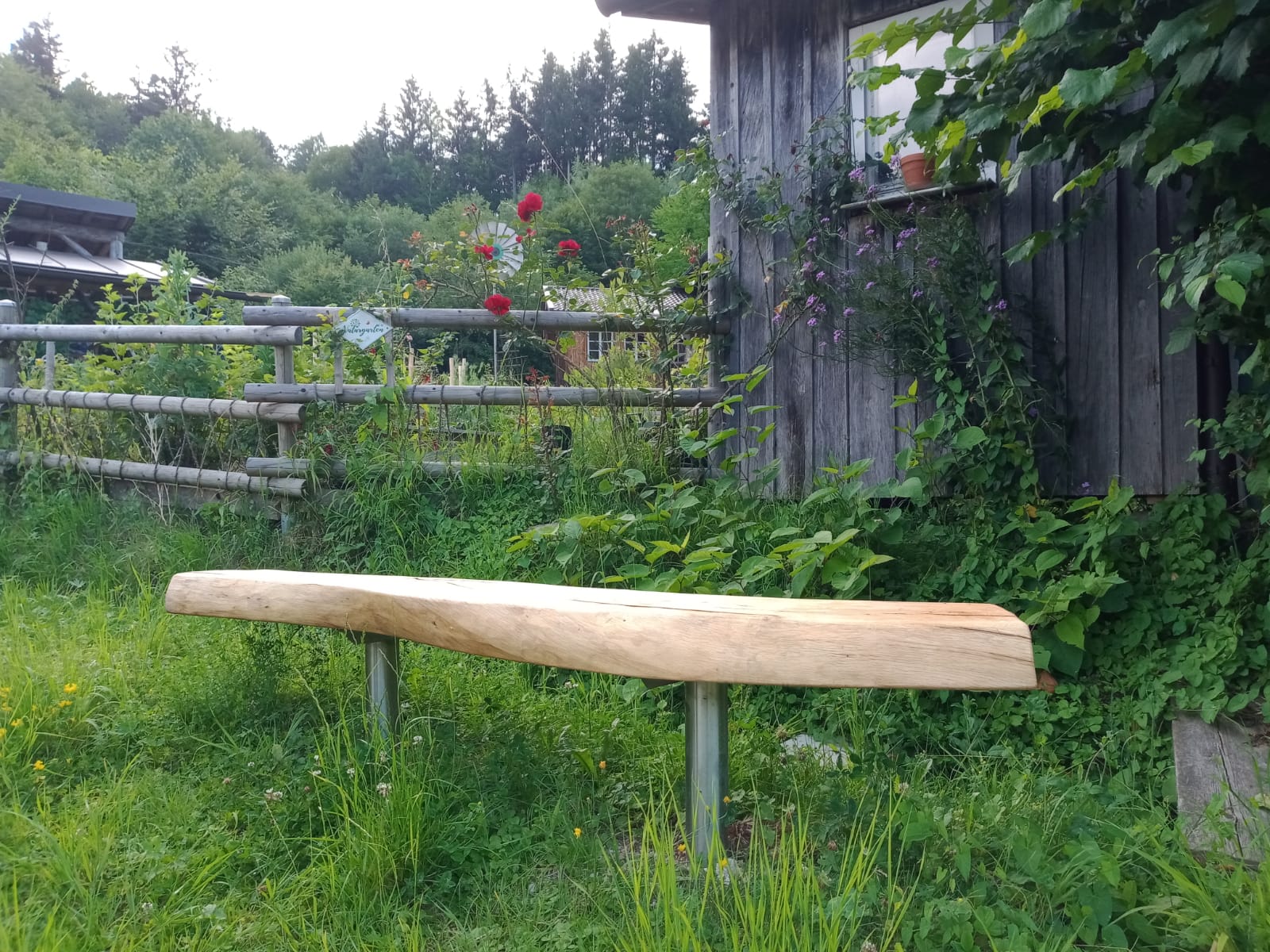 Gartenratsch
